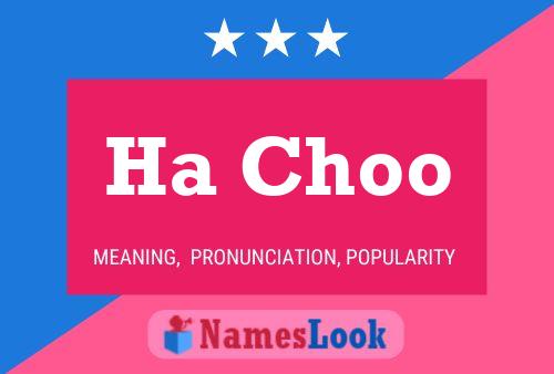 Ha Choo Name Poster