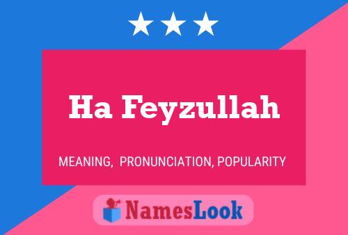 Ha Feyzullah Name Poster