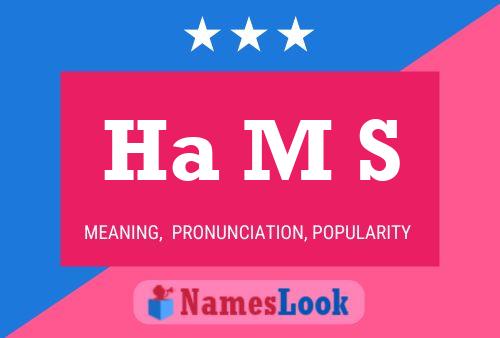 Ha M S Name Poster