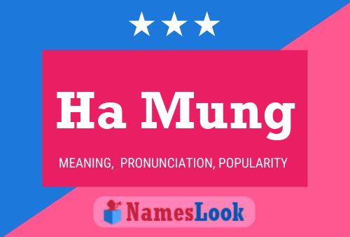 Ha Mung Name Poster