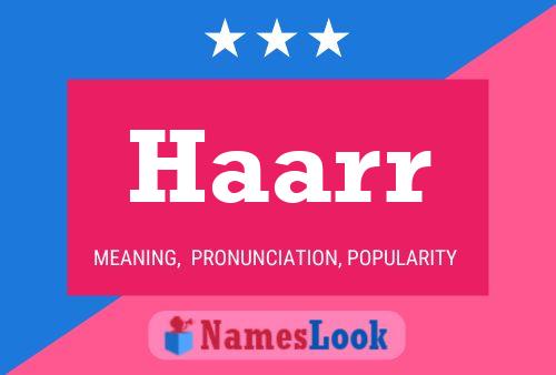 Haarr Name Poster