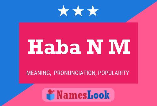 Haba N M Name Poster