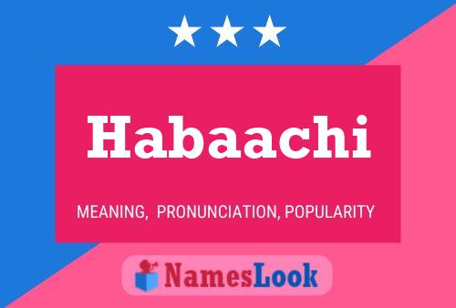 Habaachi Name Poster