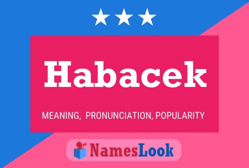 Habacek Name Poster