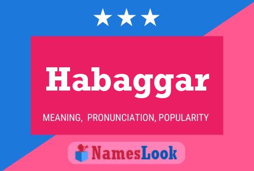 Habaggar Name Poster