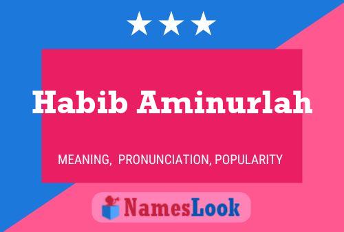 Habib Aminurlah Name Poster