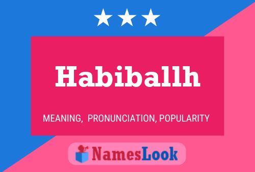 Habiballh Name Poster