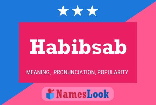 Habibsab Name Poster