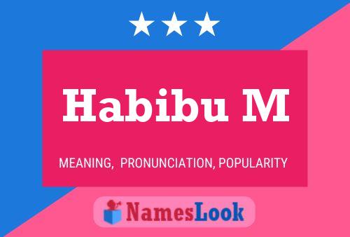 Habibu M Name Poster