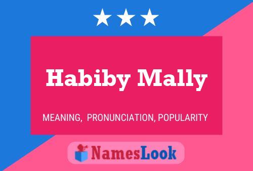 Habiby Mally Name Poster