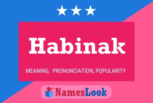 Habinak Name Poster