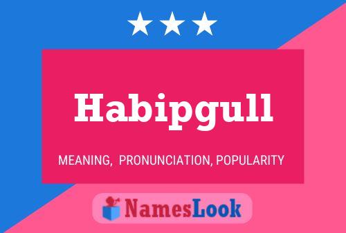 Habipgull Name Poster