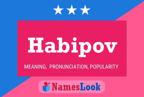 Habipov Name Poster