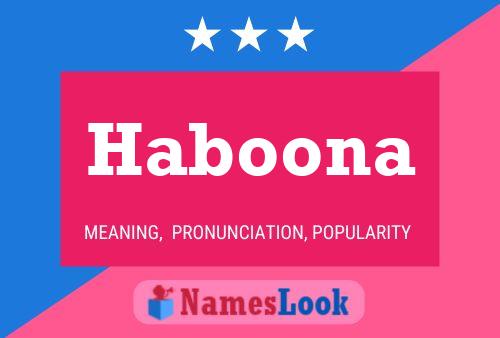 Haboona Name Poster