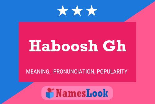 Haboosh Gh Name Poster