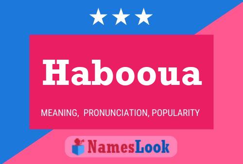 Habooua Name Poster