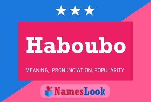 Haboubo Name Poster