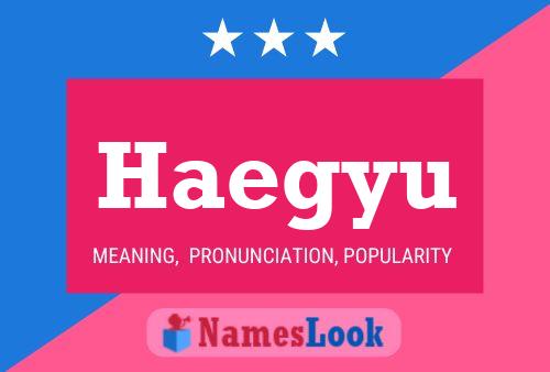 Haegyu Name Poster