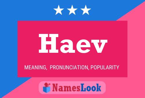 Haev Name Poster