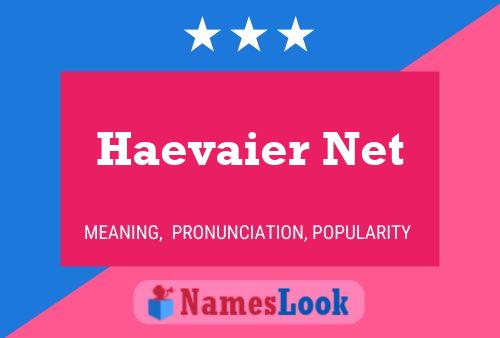 Haevaier Net Name Poster