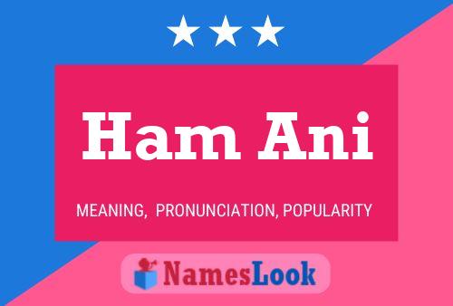 Ham Ani Name Poster