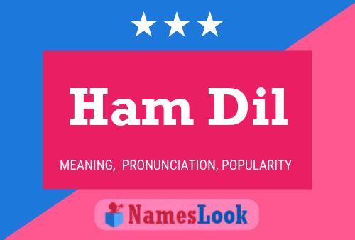 Ham Dil Name Poster