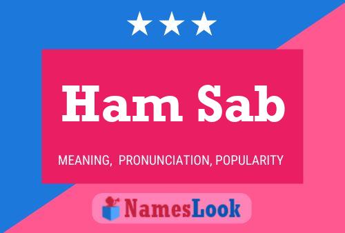 Ham Sab Name Poster