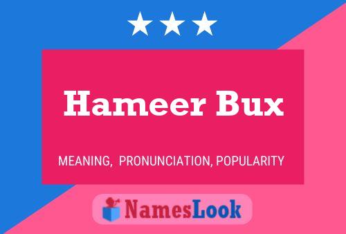 Hameer Bux Name Poster