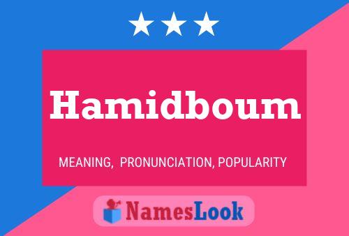 Hamidboum Name Poster