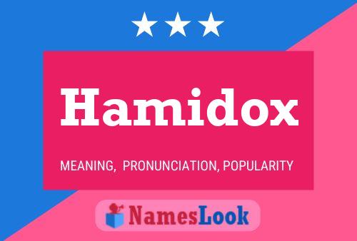 Hamidox Name Poster