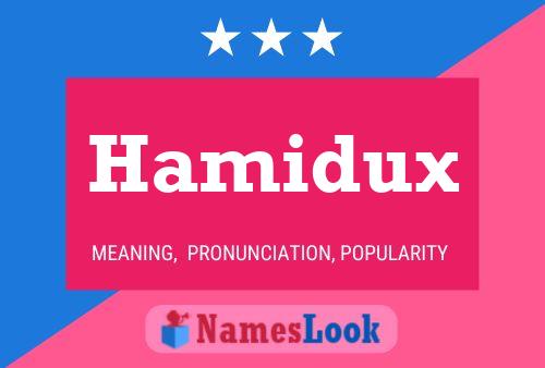 Hamidux Name Poster