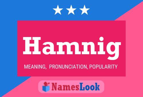 Hamnig Name Poster