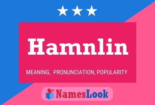 Hamnlin Name Poster