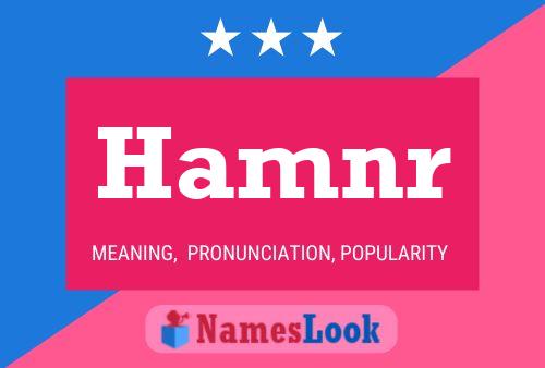 Hamnr Name Poster