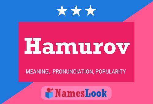 Hamurov Name Poster