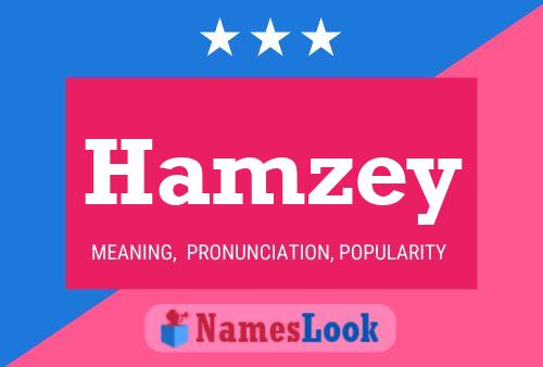 Hamzey Name Poster