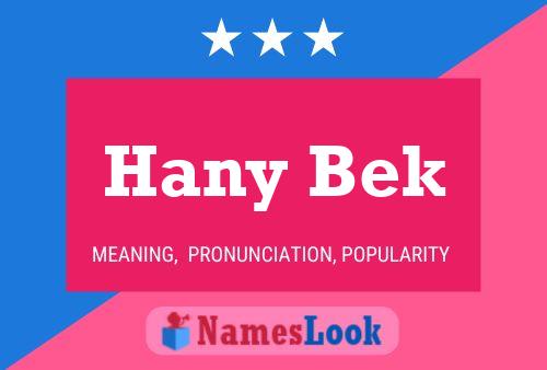 Hany Bek Name Poster