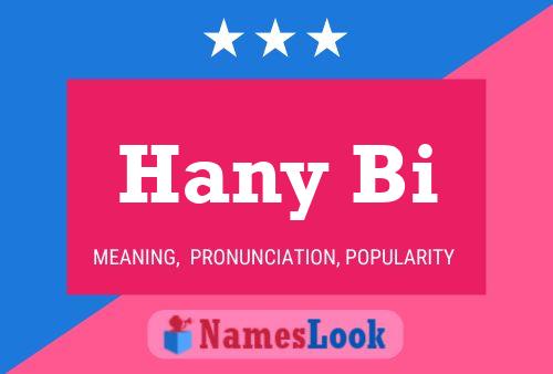 Hany Bi Name Poster