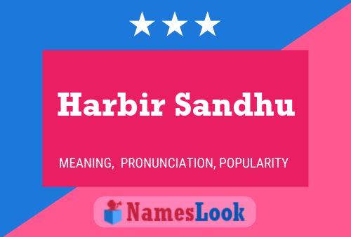 Harbir Sandhu Name Poster