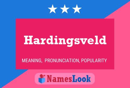 Hardingsveld Name Poster