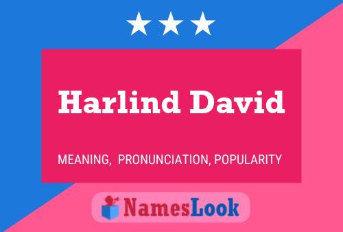 Harlind David Name Poster