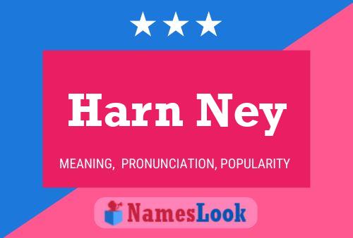 Harn Ney Name Poster