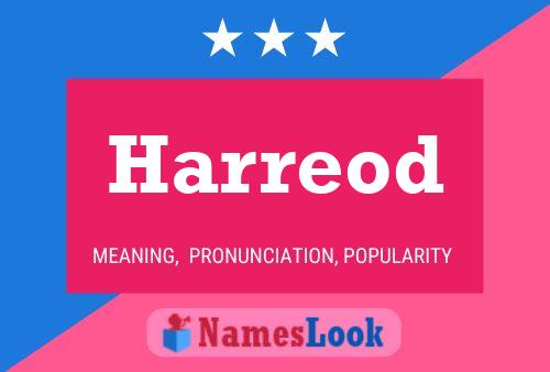 Harreod Name Poster