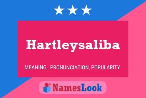 Hartleysaliba Name Poster