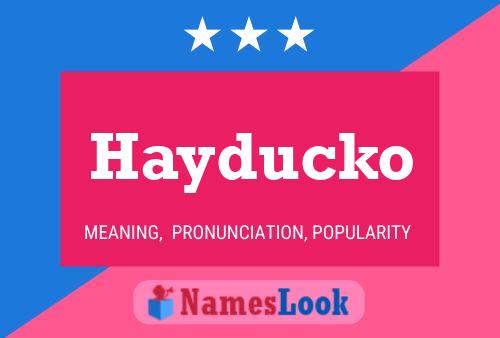 Hayducko Name Poster