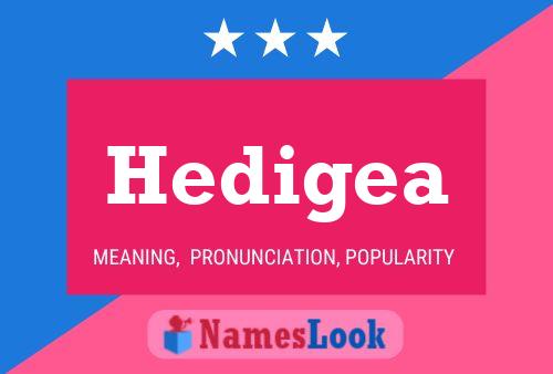 Hedigea Name Poster