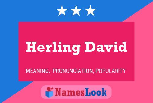 Herling David Name Poster