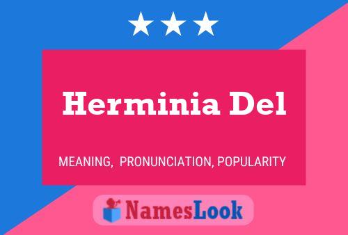 Herminia Del Name Poster