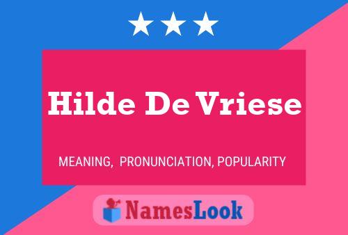 Hilde De Vriese Name Poster