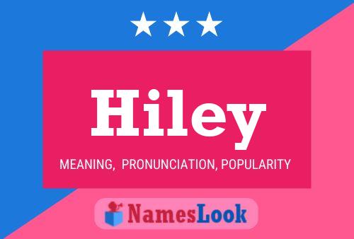 Hiley Name Poster